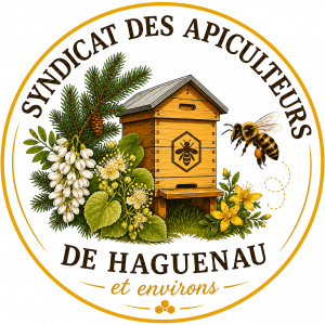 Logo Syndicat des Apiculteurs de Haguenau et environs