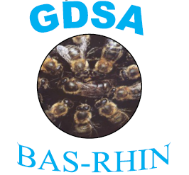 gdsa