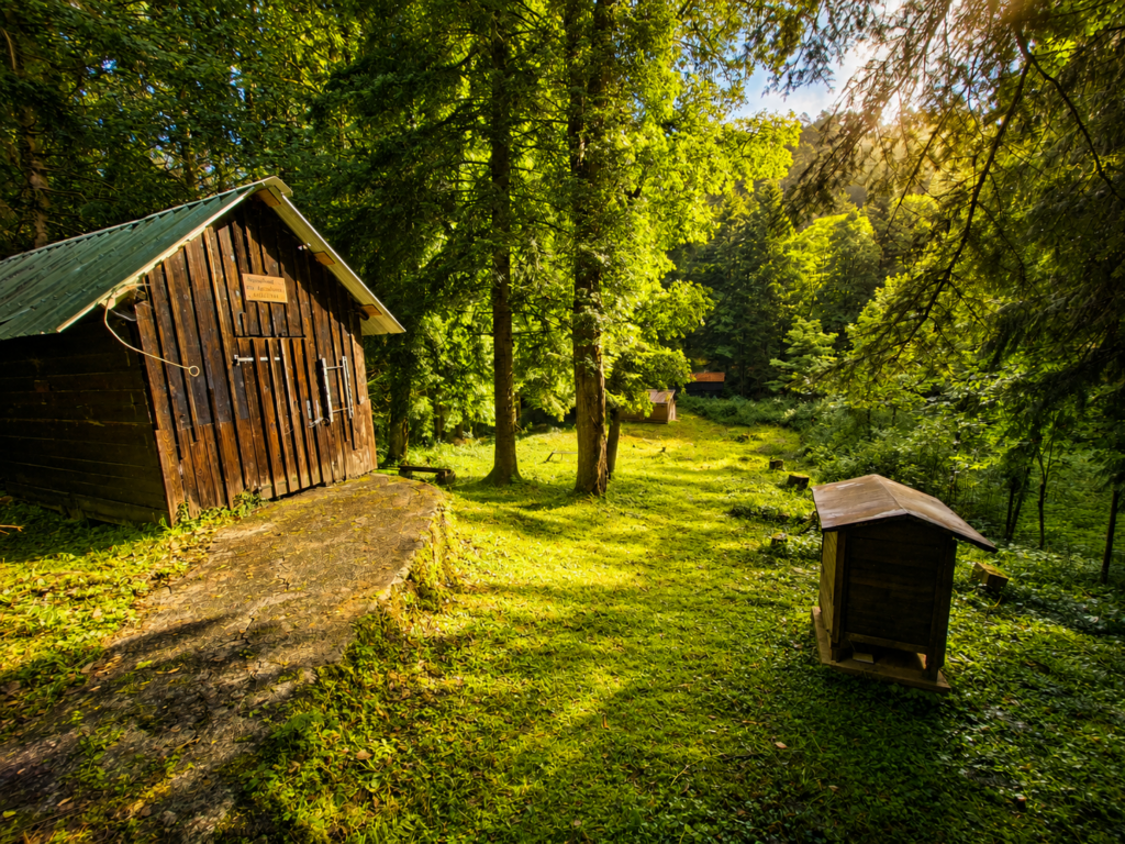 rucher freudeneck